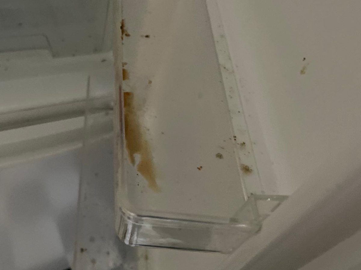 Fridge shelf with spills and food debris before cleaning