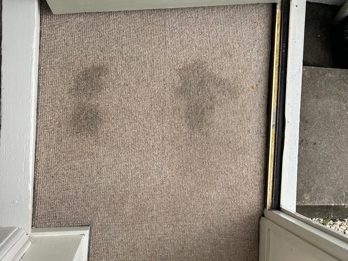 Hallway carpet by the front door with dark scuff marks before cleaning